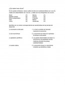 Que sabes hacer ahora