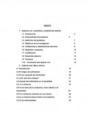 NATURALEZA Y AMPLITUD DEL ESTUDIO