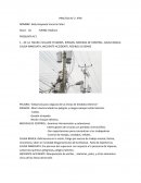 PRACTICA N° 2- IPER