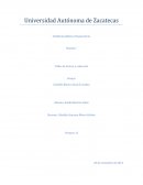 Ensayo Colmillo blanco