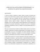 Como afectan las relaciones escolares y la micropolitia en educación