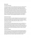 Uso del internet - ventajas y desventajas