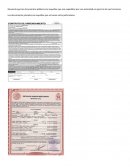 DISCURSO DE APERTURA DE MEDIACIÓN