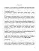 Las pastas son los productos obtenidos por desecación de una masa no fermentada