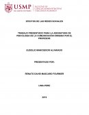 EFECTOS DE LAS REDES SOCIALES