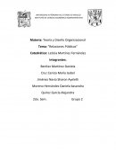 Teoría y Diseño Organizacional Tema: “Relaciones Públicas”