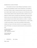 DESCRIPCION DE LA IDEA DE NEGOCIO