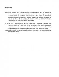 Demanda Judicial. oy en día, llevar a cabo una demanda judicial conlleva una serie de procesos y requisitos a seguir para su aplicación. Página 1
