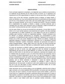 Unicef ENSAYO CRÍTICO