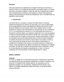 Informe preliminar Componentes De Un Vector
