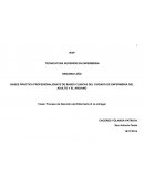 Proceso de Atención de Enfermería (3 ra entrega)
