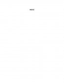 EL FEMINICIDIO EN EL ESTADO DE MORELOS