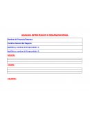 CUERPO DE ANALISIS ESTRATEGICO Y ORGANIZACIONAL