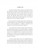 Las infecciones respiratorias agudas , las enfermedades infecciosas