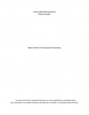 Notas Finales en los Estados Financieros