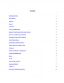 Organizar el archivo y cartelera informativa de la empresa Representaciones Y Diseños Strauss