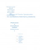 Patrones de comportamiento en equinos