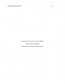 Ensayo sobre el servicio en la comunidad