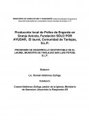 Programa de desarrollo sustentable