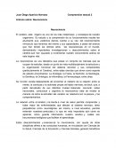 Artículo sobre: Neurociencia