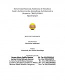 Repelente organico con clavo de olor