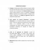 FORMACIÓN ECOLÓGICA