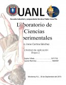 Cómo realizar una investigación acerca de una muerte falsa