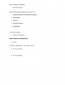 PERFIL DE PRODUCTO-MERCADO