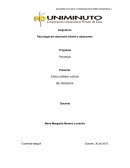 Psicología del desarrollo infantil y adolecente