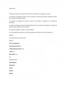 Práctica sistema urinario
