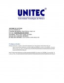 EJERCICIO UNIDAD - CONTROL DE COSTOS