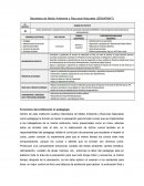 Funciones del profesional en pedagogía