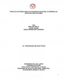 Proyecto celulas presupuestales