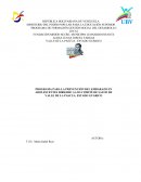 PROGRAMA PARA LA PREVENCIÓN DEL EMBARAZO EN ADOLESCENTES.