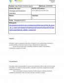 Estrategias del Pensamiento Sistemático -Actividad