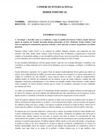 COMERCIO INTERNACIONAL DEBER INDIVIDUAL. Página 1