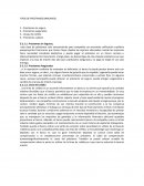 TIPOS DE PRÉSTAMOS BANCARIOS