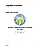 Sociología del derecho.