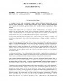 COMERCIO INTERNACIONAL DEBER INDIVIDUAL