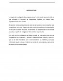 ANÁLISIS DE MERCADO DE PRODUCTO DETERGENTE