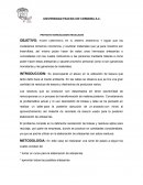 Proyecto Ecológico : Manualidades Recicladas