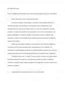USO Y COMERCIO SOSTENIBLE DE PLANTACIONES MEDICINALES EN COLOMBIA.