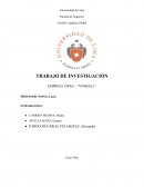 TRABAJO DE INVESTIGACIÓN EMPRESA CIPSA – “VINIBALL”