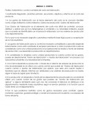 Posteo, tratamiento y control contable del costo de fabricación