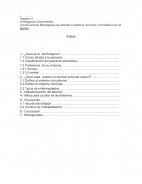 Español II Investigación Documental