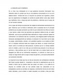 Ensayo : La basura que comemos