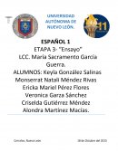 ESPAÑOL “Ensayo”
