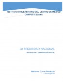 El tema de La Seguridad Nacional para mí es muy importante