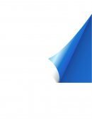 Reingeniería de organizaciones.