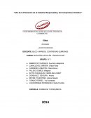 RESUMEN LAS MITOCONDRIAS